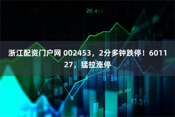 浙江配资门户网 002453，2分多钟跌停！601127，猛拉涨停